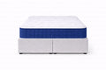 Somnex Kids Soft Foam Mattress